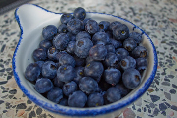 Blueberries in a white plate