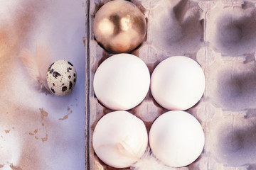one gold egg lays among common white eggs in tray
