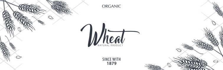 Bakery background with wheats. Linear graphic. Bread banner collection. Bread house. Vector illustration