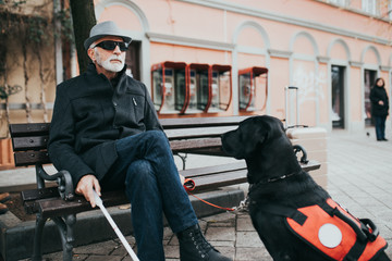 Mature blind man with his guide dog sitting on bench.