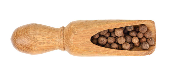 Allspices or Jamaica pepper in wooden scoop isolated on white background. Top view