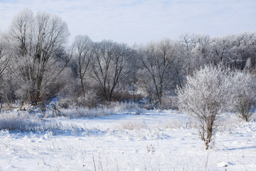 Beautiful winter landscape in clear weather.