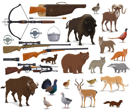 Hunting ammo, hunter trophy animals