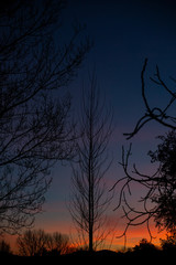 Vistas del parque al atardecer