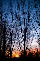 Vistas del parque al atardecer