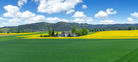 Bauernhof, Aussiedlerhof, inmitten landwirtschaftlicher Felder im Frühling in ländlicher...