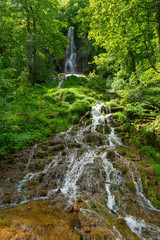 Blick frontal auf den Uracher Wasserfall im Sommer nahe Bad Urach, Schwäbische Alb, Deutschland