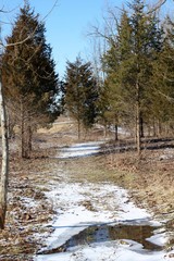 Obraz premium The snowy frozen path in the countryside on a sunny day.