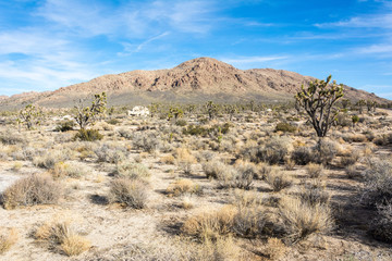 Fototapeta na wymiar Mojave Desert in California.