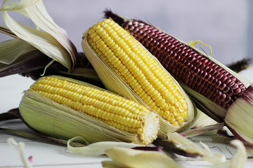 Fresh corn on white wooden table.