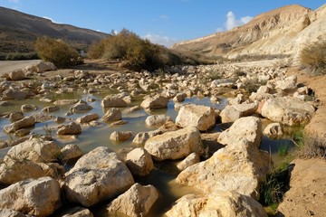 Flood desert landscape after rain in Negev, South of Israel.