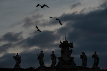 Obraz premium Vatican City, December 7, 2018: Seagulls flying over Saint Peter's Square