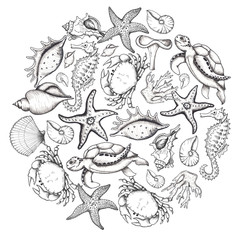 Watercolor and graphic handpainted marine monochrome and living coral compositions with  ocean corals reef,  sea underwater animals: crab, jellyfish, turtle, seahorse, starfish, seaweed