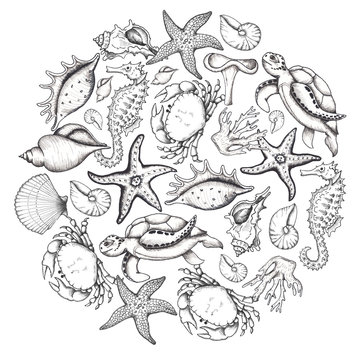 Watercolor and graphic handpainted marine monochrome and living coral compositions with  ocean corals reef,  sea underwater animals: crab, jellyfish, turtle, seahorse, starfish, seaweed