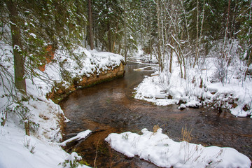 Snowy forest and river