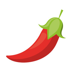 chilli fresh vegetable cartoon