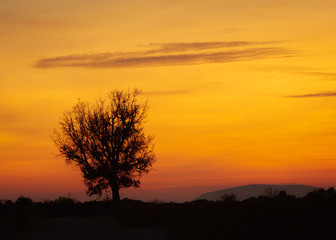 Obraz na płótnie Canvas sunset in the countryside