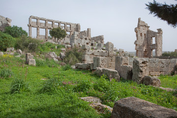 Ruins of the monastery of St. Simeon near Aleppo. Syria