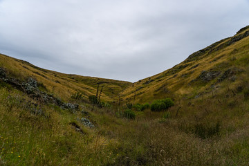 great hills at Taylors mistake walkway, Taylors mistake track nature, New Zealand's beautiful nature, nature landscape, New Zealand landscape.
