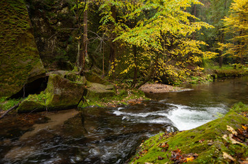 Herbst an der Kirnitzsch in der S&auml;chsischen Schweiz