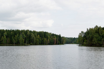 Wild lake with forest landscape