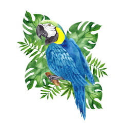Watercolor illustration with parrot and tropical leaves