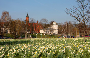 Obraz premium The popular daffodil park in Druskininkai Thousands of flowers are blooming. at the same time. The landmarks of the town are at the background.