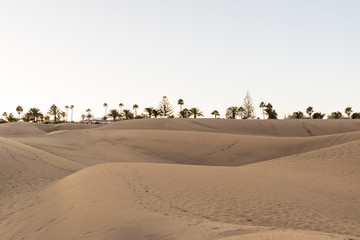 Fototapeta na wymiar Dünen in der Wüste von Sahara