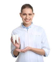 Female dentist holding tooth model on white background