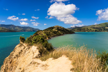 Obraz premium view from the onawe track in New Zealand, amazing ocean bay in akaroa New Zealand, onawe walkway with beautiful nature and blue water, great New Zealand nature photography, nature background