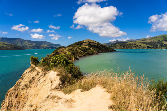 view from the onawe track in New Zealand, amazing ocean bay in akaroa New Zealand, onawe walkway with beautiful nature and blue water, great New Zealand nature photography, nature background