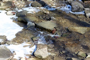 Fototapeta premium The white snow and the ice of the flowing creek.