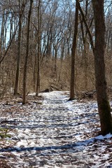 A view of the melting snow on the trail in the forest.