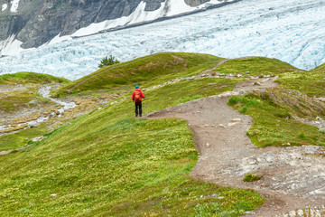 Hiker in a red jacket hiking on a green hill on the Harding Icefield Trail overlooking Exit Glacier, Alaska, USA. Hiker is wearing a backpack and a red jacket. Ample copy space. Glacier in background.