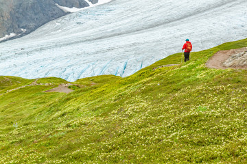 Hiker in a red jacket hiking on a green hill on the Harding Icefield Trail overlooking Exit Glacier, Alaska, USA. Hiker is wearing a backpack and a red jacket. Ample copy space. Glacier in background.