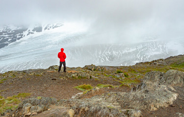 A man in a red jacket is gazing out over Exit Glacier in Alaska, USA. Man is standing on green grass covered hill overlooking glacier from the Harding Icefield Trail.