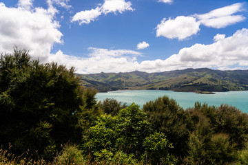 Fototapeta na wymiar view from the onawe track in New Zealand, amazing ocean bay in akaroa New Zealand, onawe walkway with beautiful nature and blue water, great New Zealand nature photography, nature background