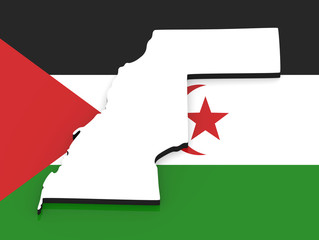 3D map of Western Sahara on the national flag