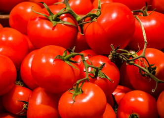 Background or texture from a lot of bright tomatoes from a kitchen garden. Vitamins and vegetables. Healthy lifestyle. Red.
