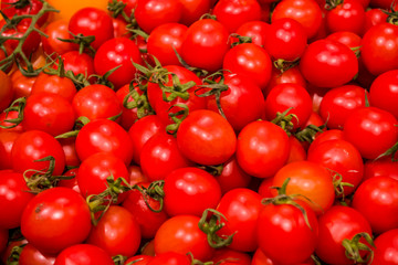 Background or texture from a lot of bright tomatoes from a kitchen garden. Vitamins and vegetables. Healthy lifestyle. Red.