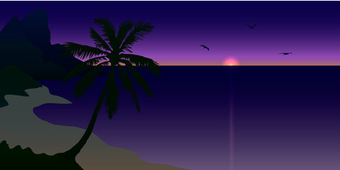 The sunset on the shore of the bay with mountains, palm trees and gulls
