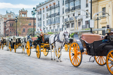 horse and carriage