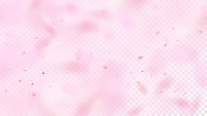 Nice Sakura Blossom Isolated Vector. Pastel Flying 3d Petals Wedding Border. Japanese Blooming Flowers Illustration. Valentine, Mother's Day Spring Nice Sakura Blossom Isolated on Rose