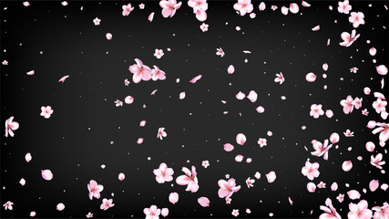 Nice Sakura Blossom Isolated Vector. Beautiful Blowing 3d Petals Wedding Texture. Japanese Oriental Flowers Illustration. Valentine, Mother's Day Watercolor Nice Sakura Blossom Isolated on Black