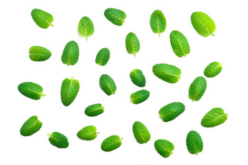 Mint leaves isolated on white background