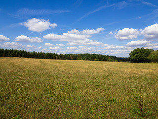 Obraz premium Felder und Wiesen mit wolkenreichem Himmel
