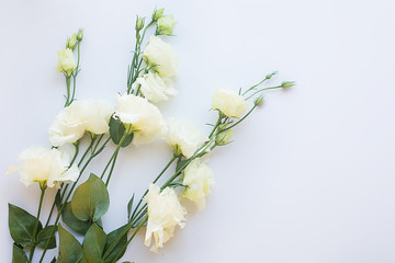 bouquet of white eustomas on a light white background
