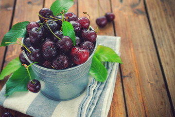 Fresh sweet cherries in a bucket