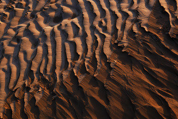 Marokko, M`Hamid, Wuestenlandschaft im Morgenlicht, Strukturen im Sand