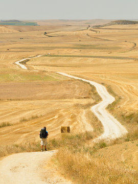 Cammino de Santiago de Compostela. Back view